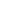 Item artwork