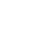 Item artwork