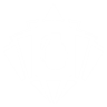Item artwork