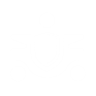 Item artwork