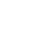 Item artwork
